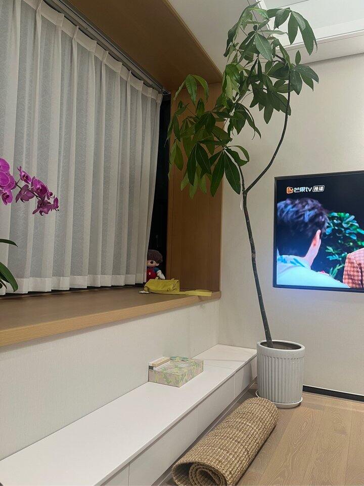 一些家里的凌乱时间