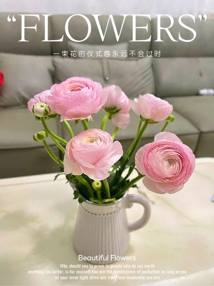 又去单洞花市买花花啦