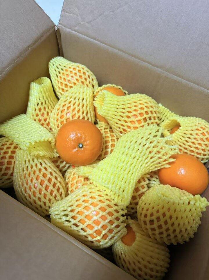 自营沃柑🍊