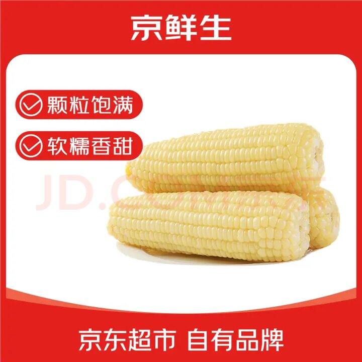 京鲜生 东北白糯玉米🌽1.38/根