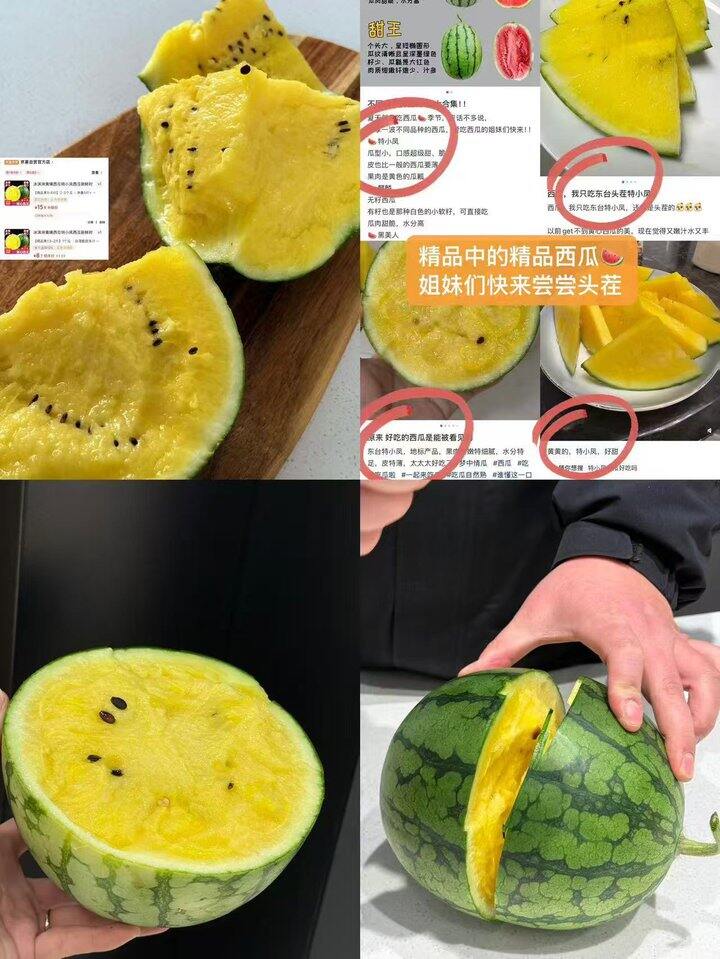 今日水果合集🍉🍅🥭🍍