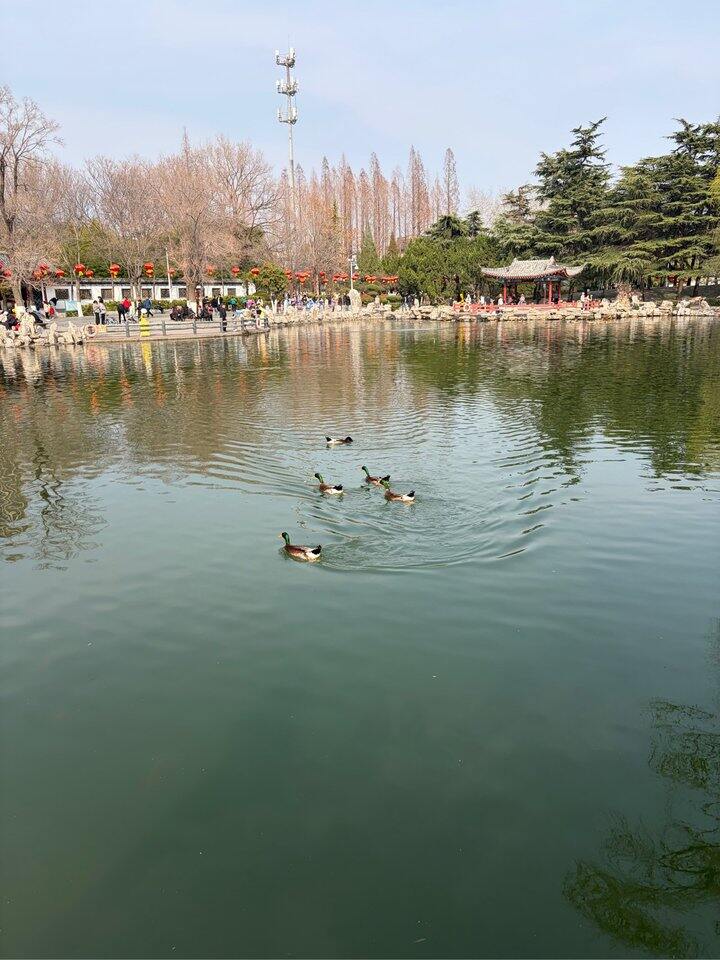 出88VIP会员网易云优酷