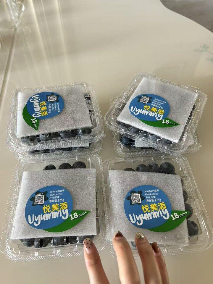 悦美添  花香蓝莓9.9/盒