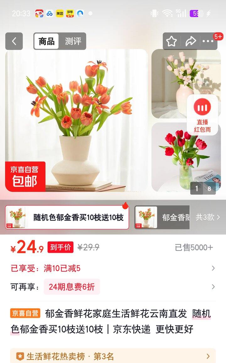 【奶茶东】郁金香