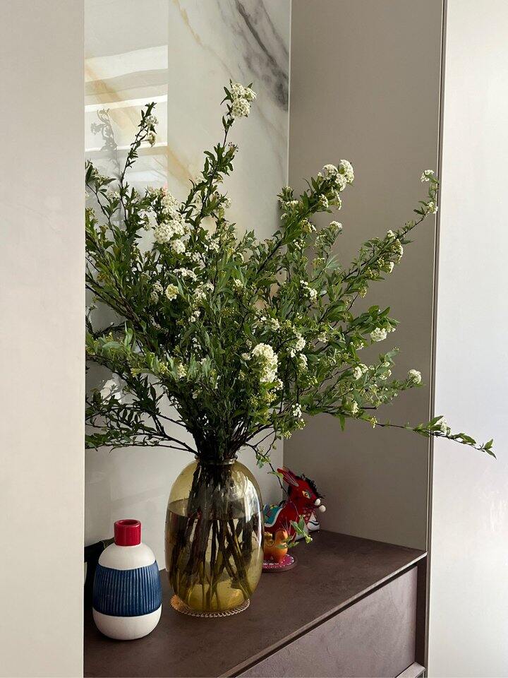 家里家外一些春天的气息