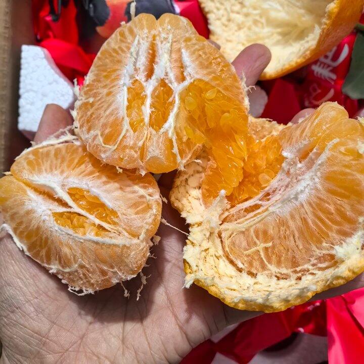 京鲜生 四川春见耙耙柑