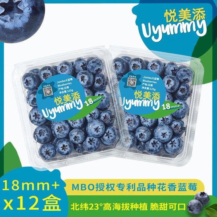 佳沃花香蓝莓🫐9.9/盒💰脆甜还带有花香！