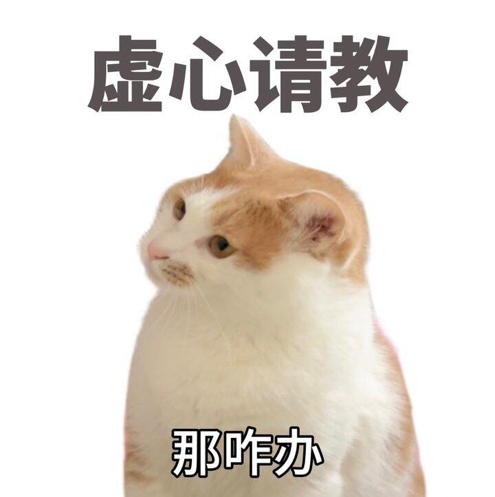 有没有做天猫运营的大佬啊！