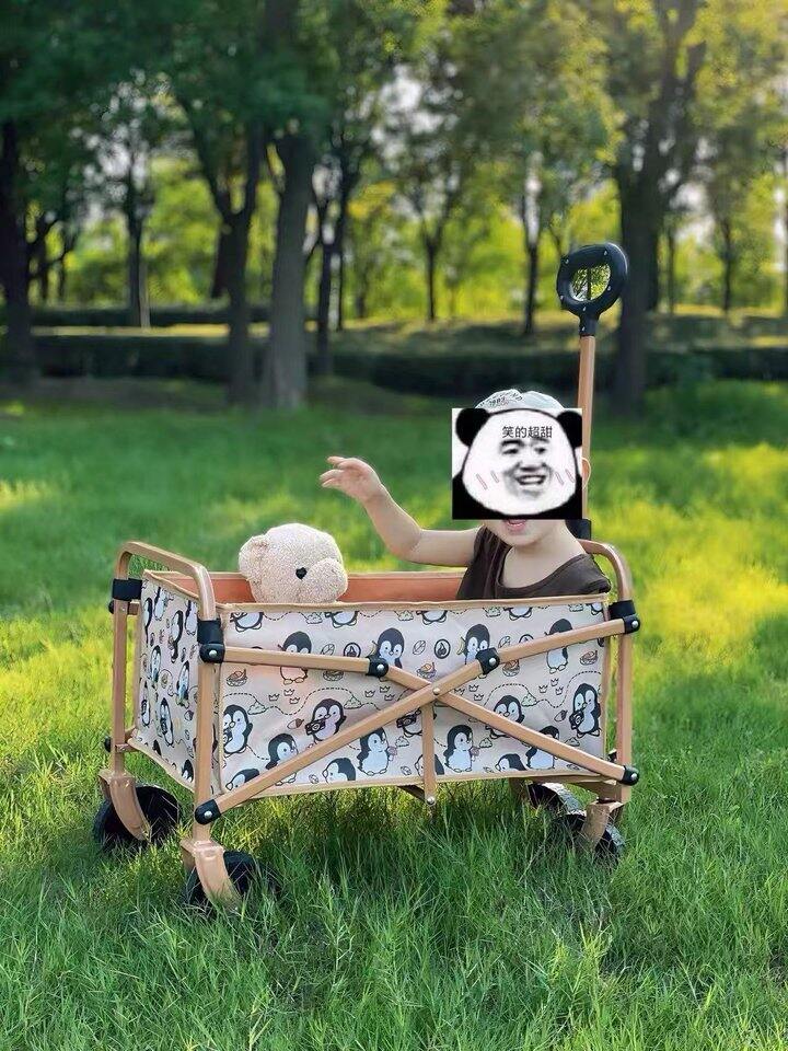 骆驼 露营车💰75元