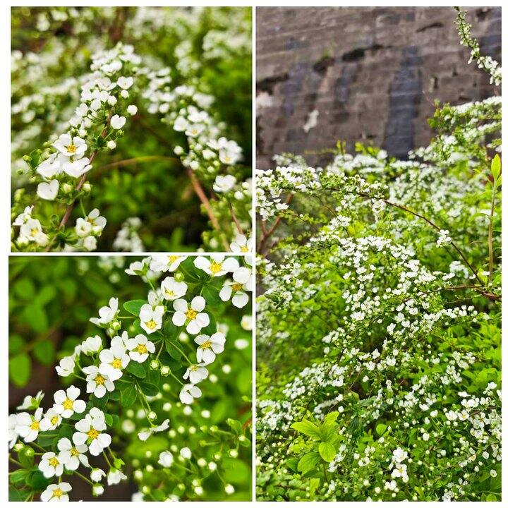 ［随手拍］散个步吧