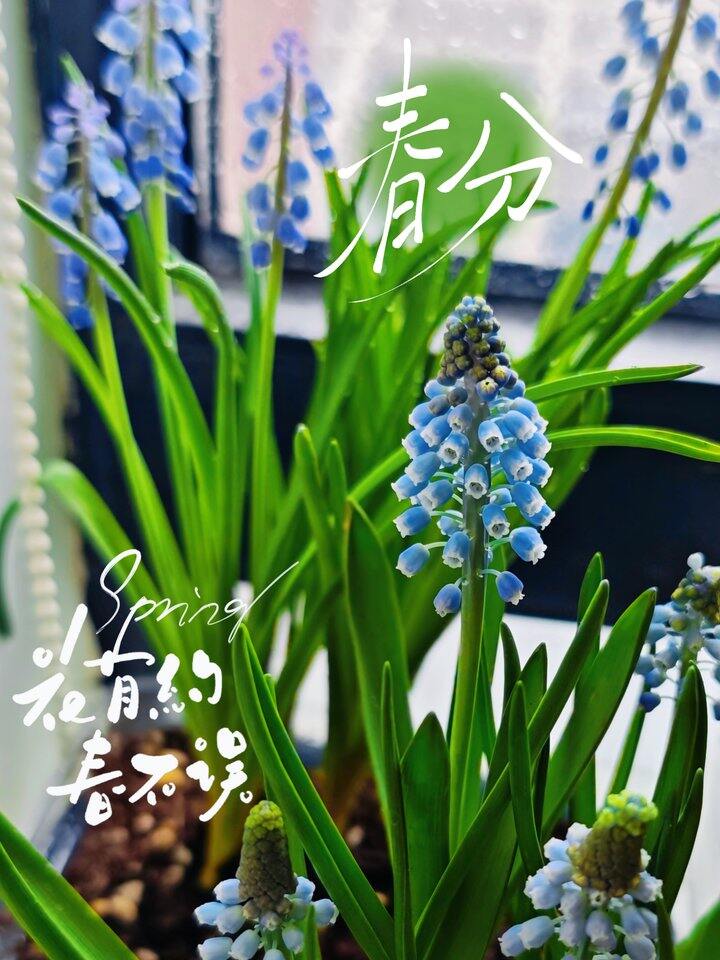 ［随手拍］春分