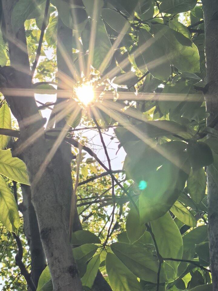 春意盎然