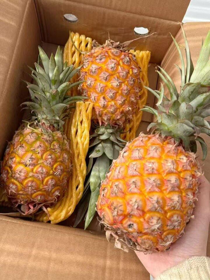 自营 金钻凤梨🍍