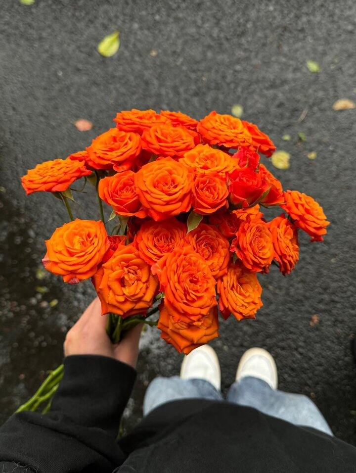 橙色芭比！💰9.9