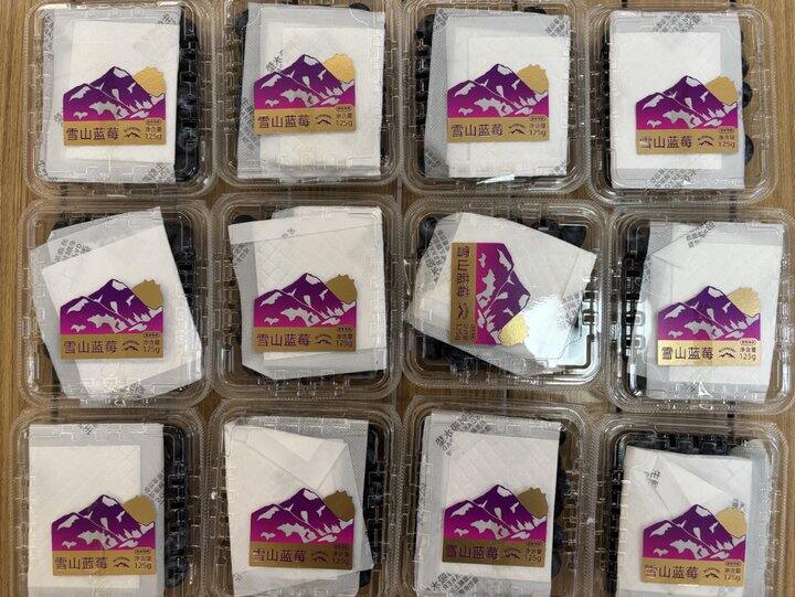 京东自营蓝莓18mm大果🫐💰5.7/盒