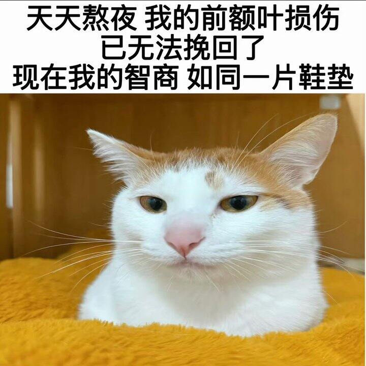 已经到了听声才能入睡的年纪