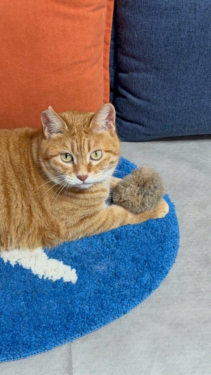 还有要上车的姐妹吗？