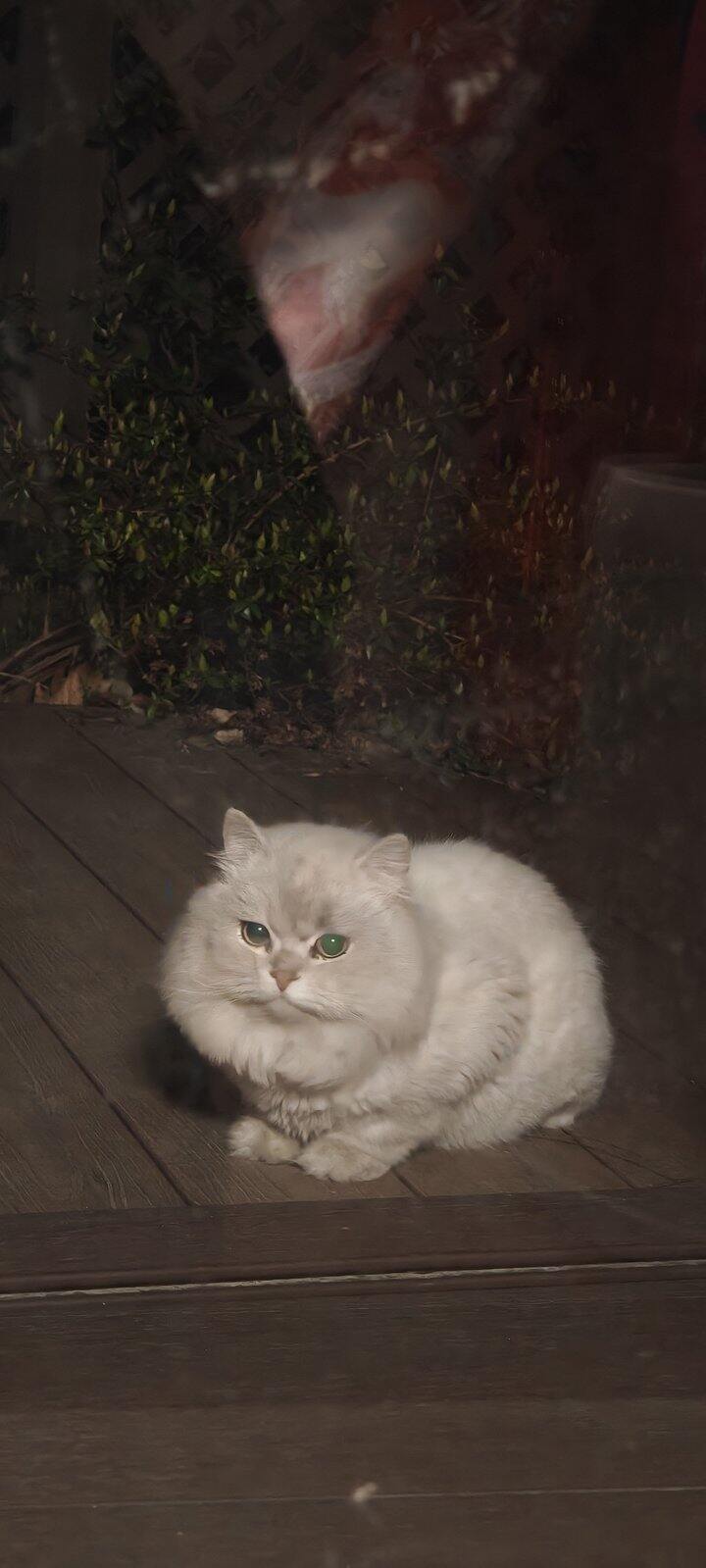 近期任务