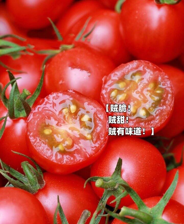 京东京鲜生 广东电白圣女果