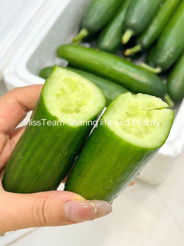 水果黄瓜！💰2+