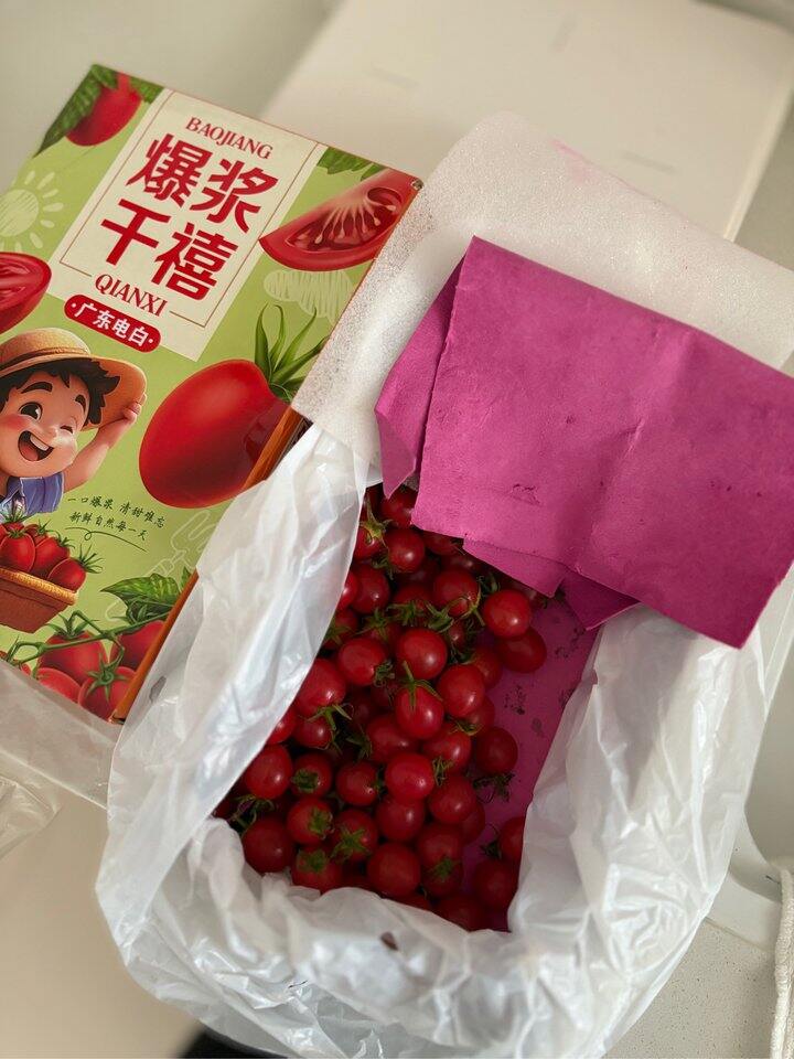 广东电白现摘千禧小番茄