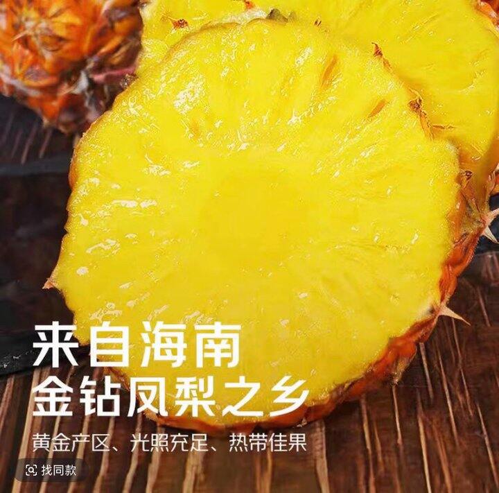 凤梨爱好者必入