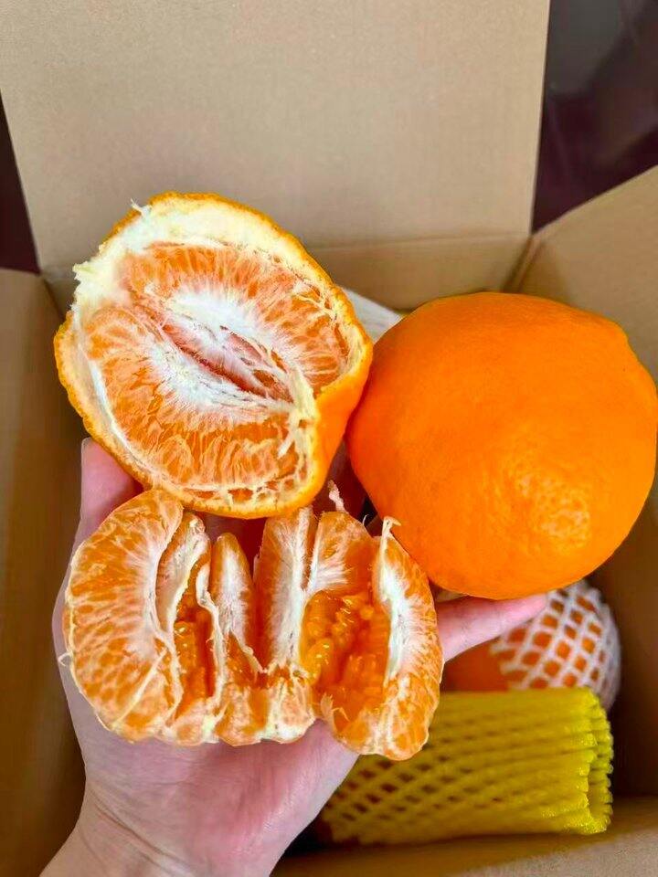 耙耙柑🍊今年末班车了🚗3.5/斤！