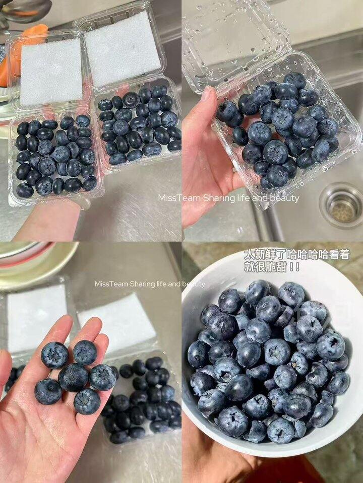 蓝莓！💰4+