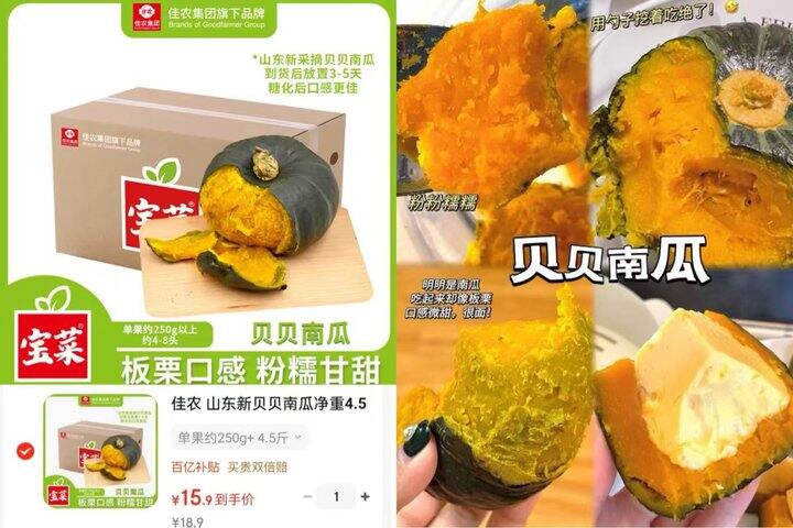 佳农贝贝南瓜🎃丨3.5/斤