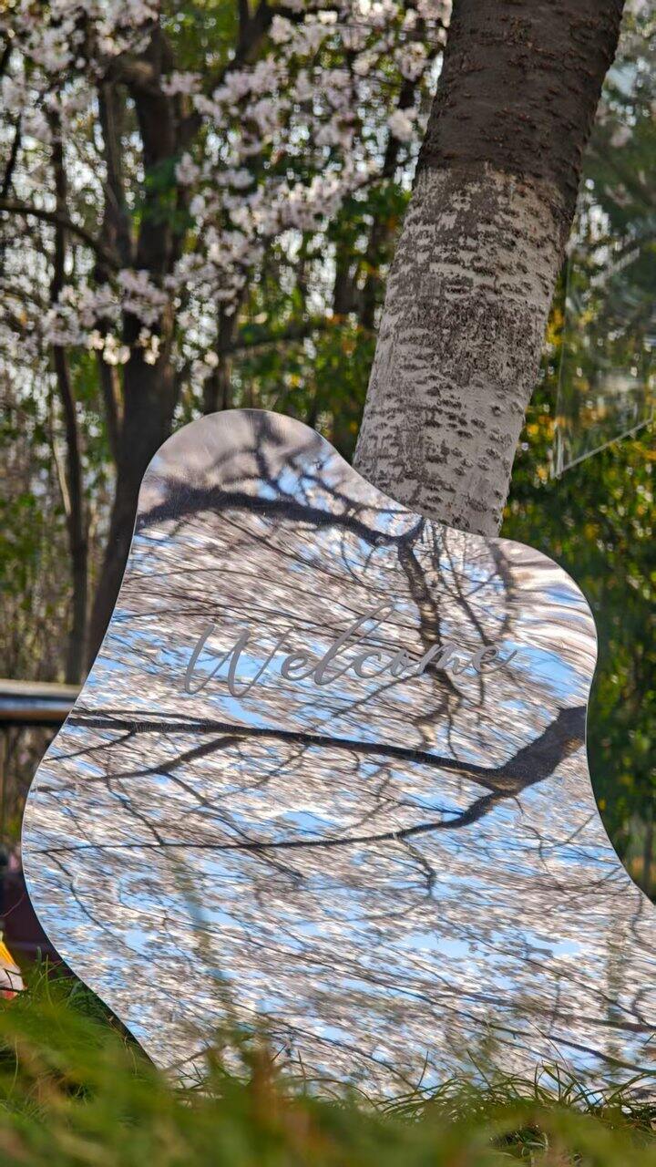 ［随手拍］春日碎片