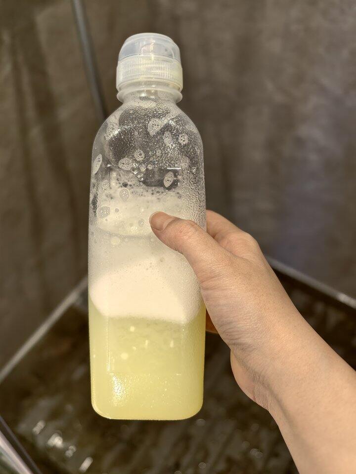 超低成本祛除狗尿味