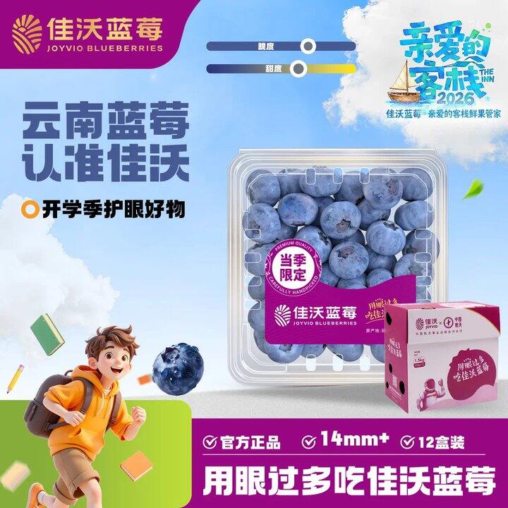 佳沃 云南精选蓝莓