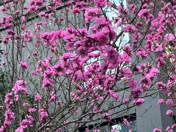 上辈子做了什么孽这辈子给学生改论文