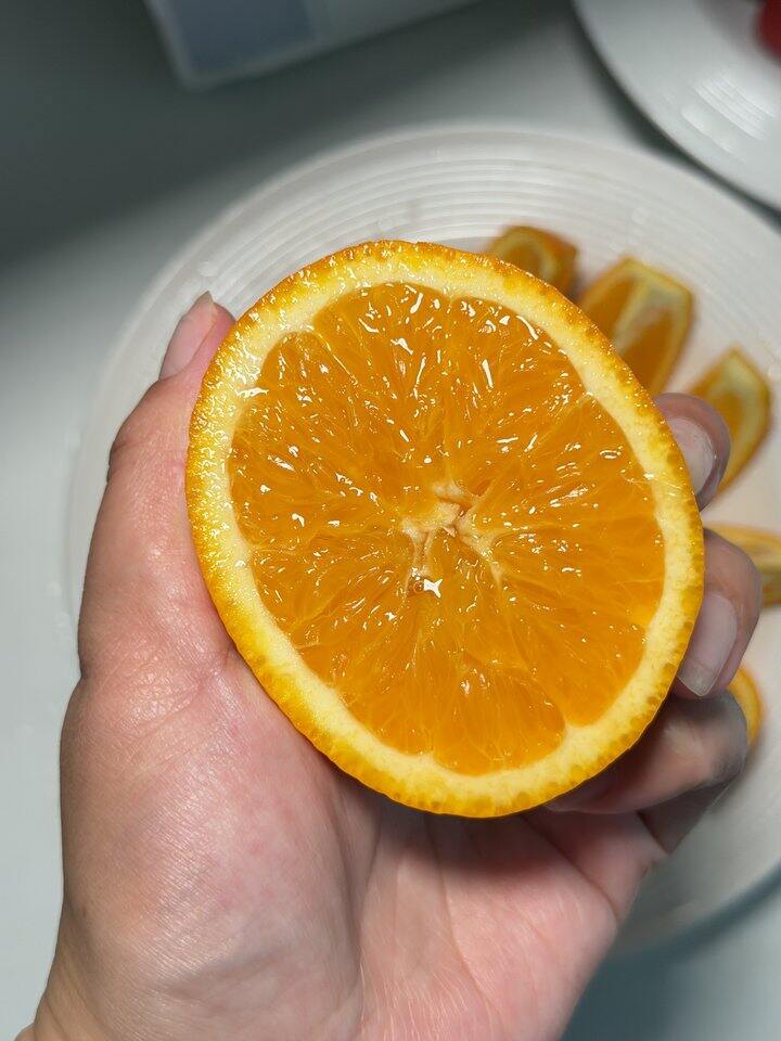 自营 伦晚脐橙🍊