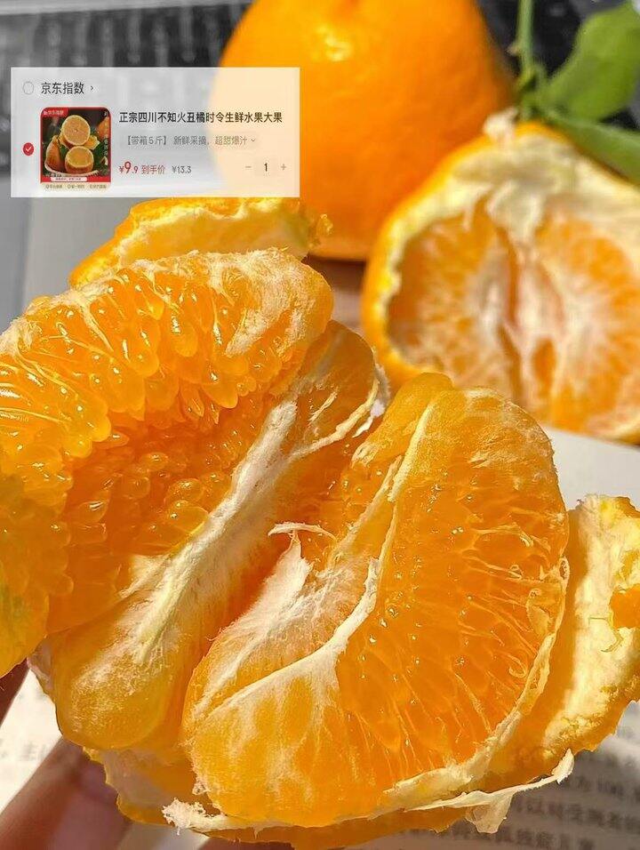 手慢无❗️神价水果合集，𝟏.𝟗/斤！海南芒🥭/丑橘，小番茄/黄瓜🥒/贝贝南瓜