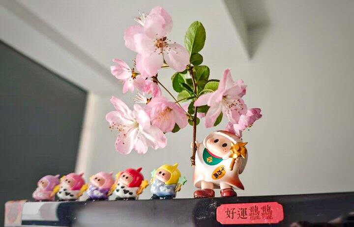 ［随手拍］捡朵花