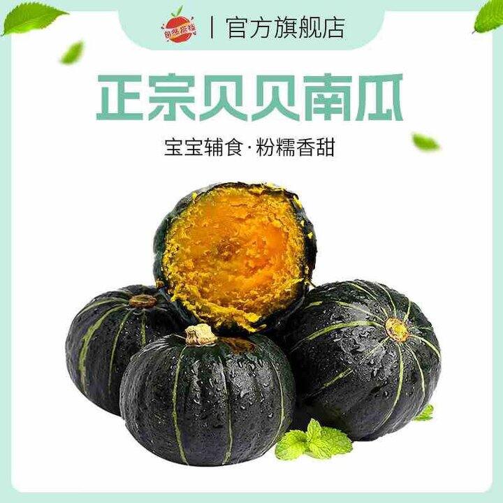 自然搭档 正宗贝贝南瓜