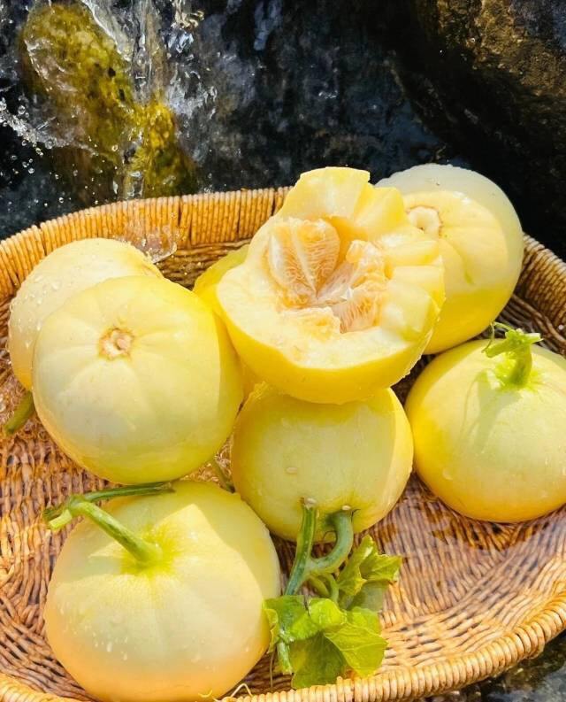 【蜂蜜甜瓜】限量尝鲜价26.8元/箱