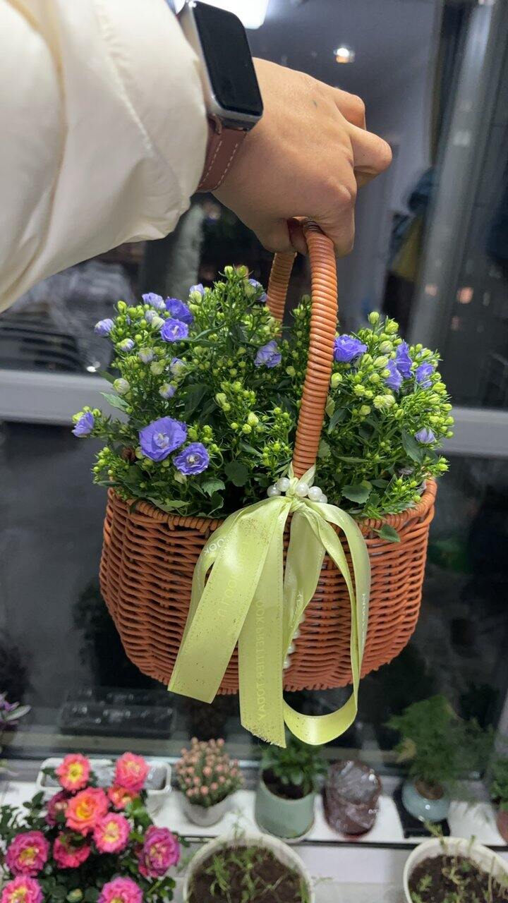 觉醒新爱好，种花