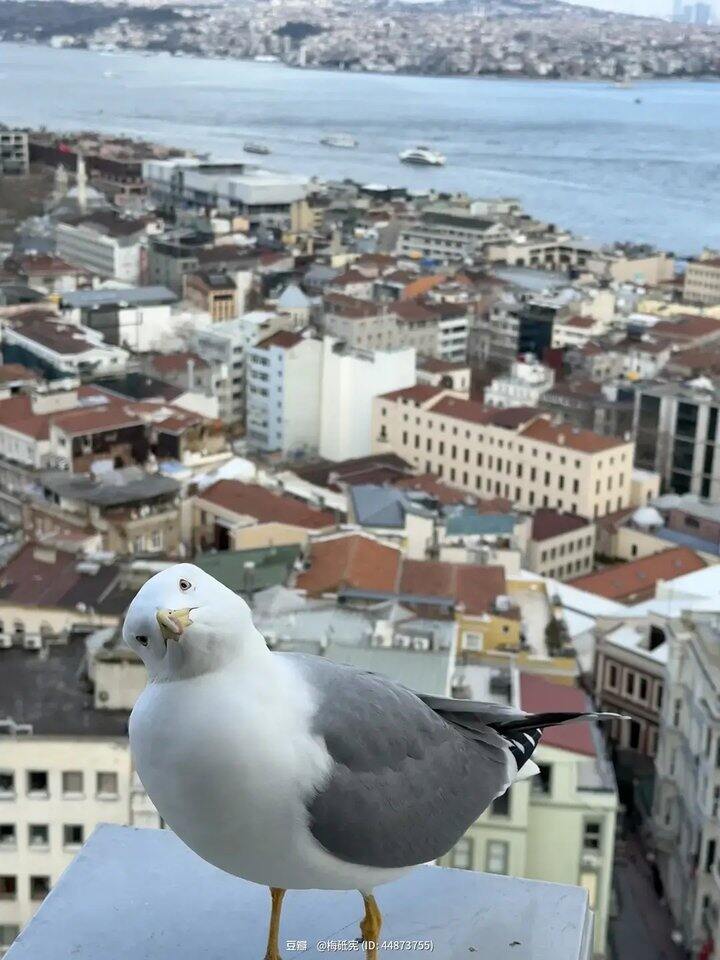 求推荐3匹空调柜机！