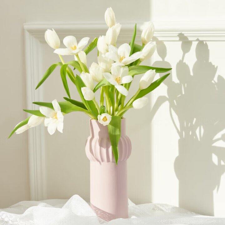 速度好价4.9元10支郁金香 超级好价！！