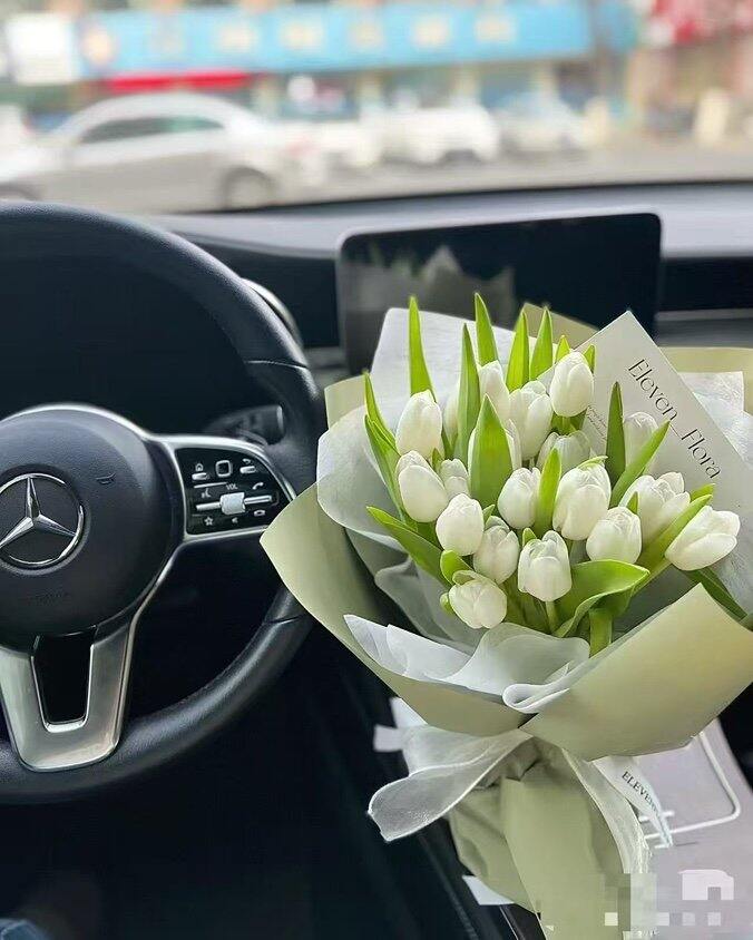 J D自营郁金香🌷