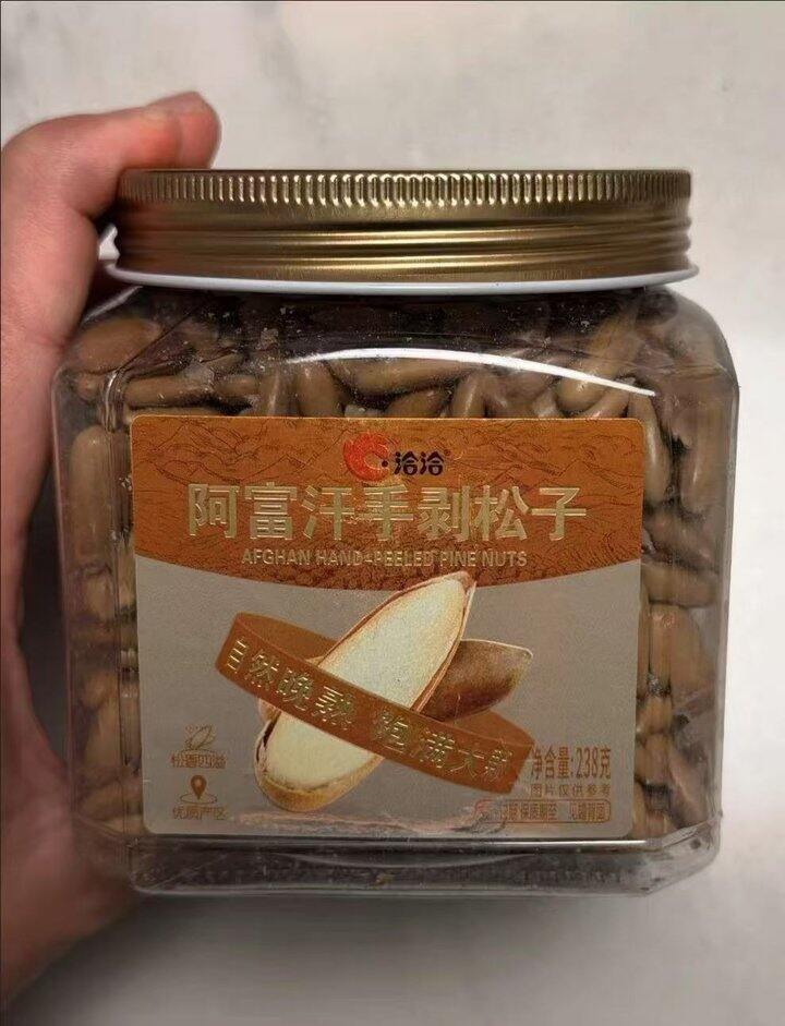 阿富汗松子