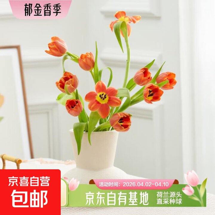 【京喜自营】鲜花合集