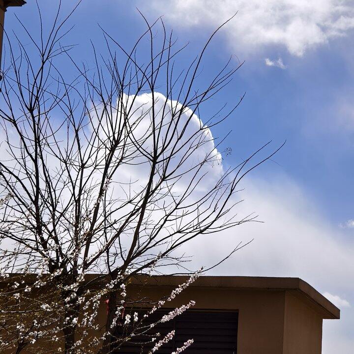 今天拍到了很好看的云朵