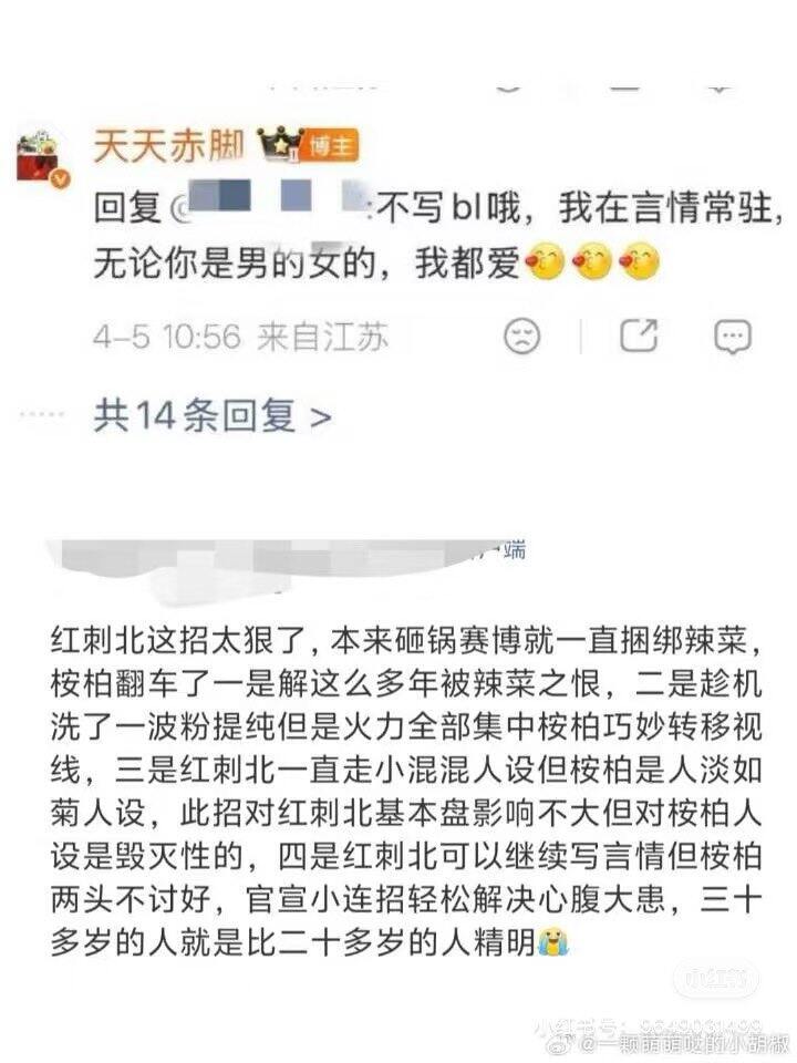 桉柏塌房了？