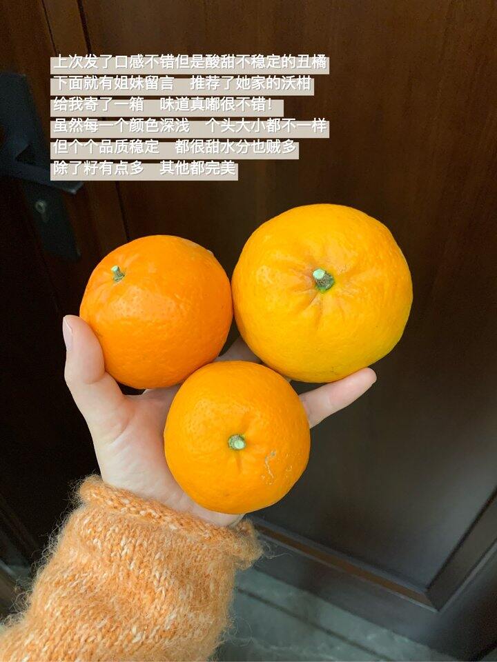 迟到的购物分享下集