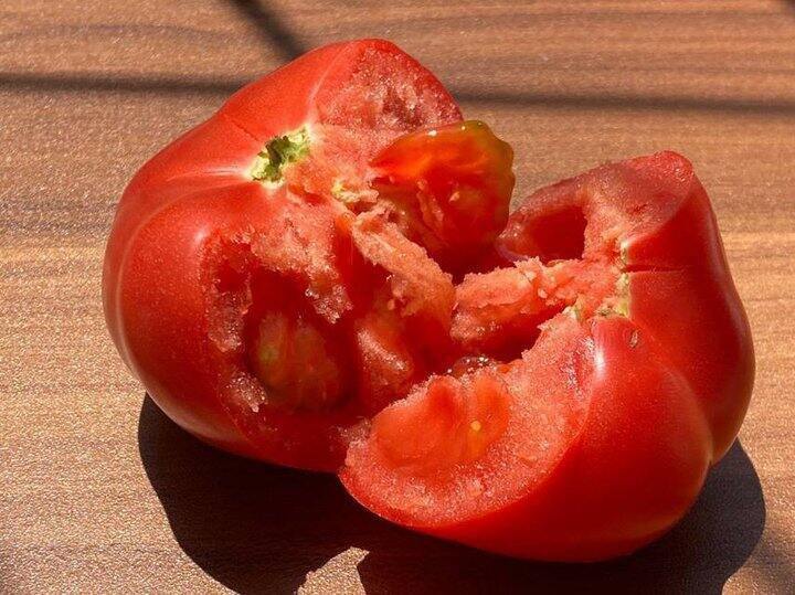 【树上熟普罗旺斯西红柿】29.9元到手4斤/箱