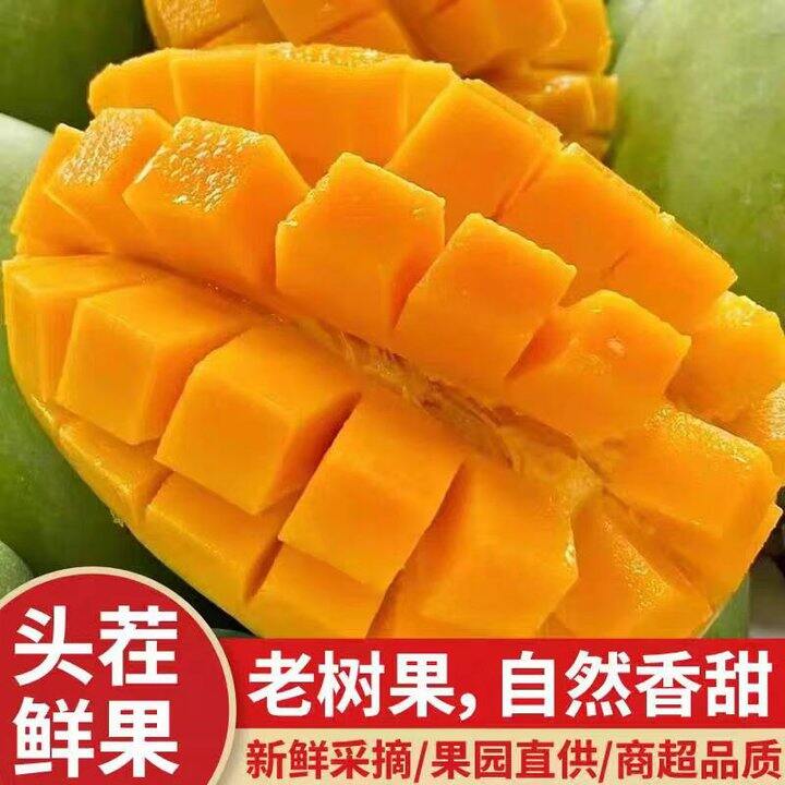 冲，2.5/斤❗️海南芒果神车