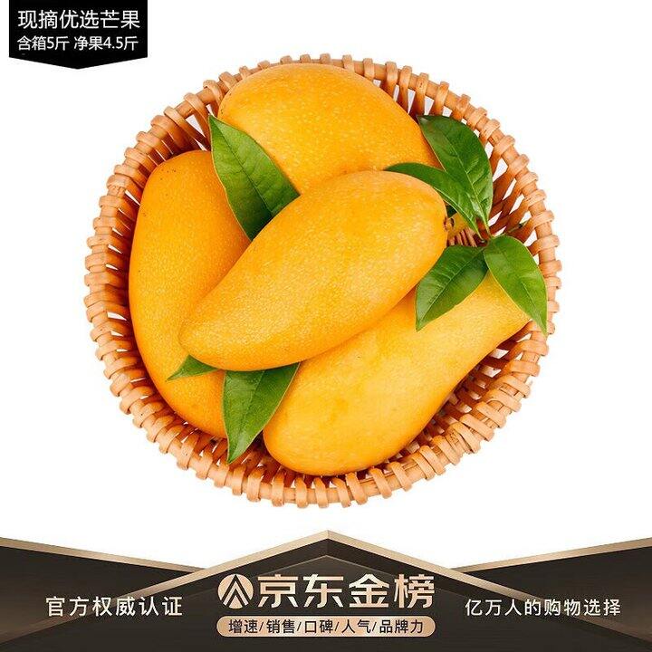 玖原农珍 青皮金煌芒果